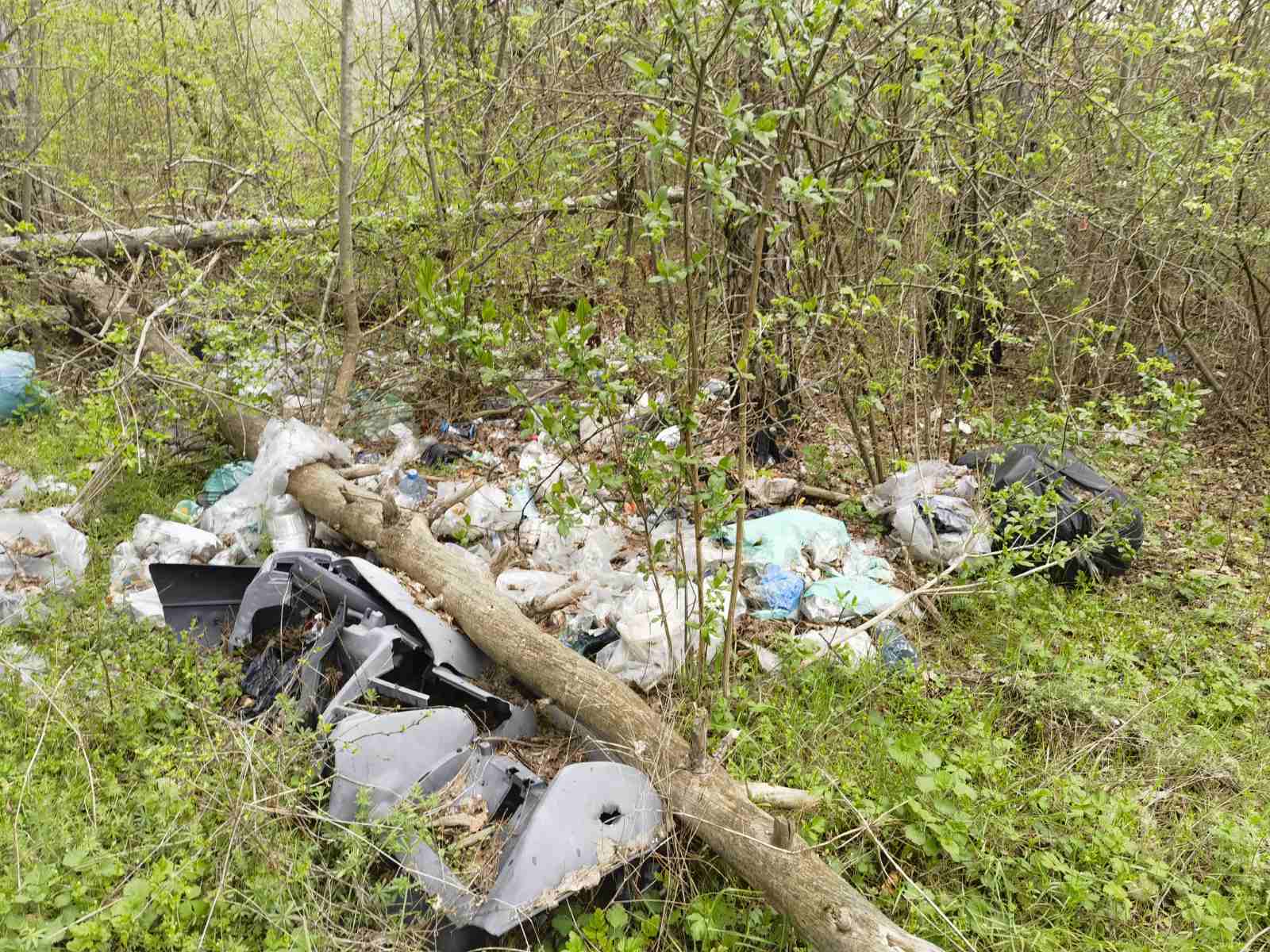 Снимка на незаконно сметище в Добрич - 9300, Околовръстен път, Лозята, Добрич, Добрич, Добрич