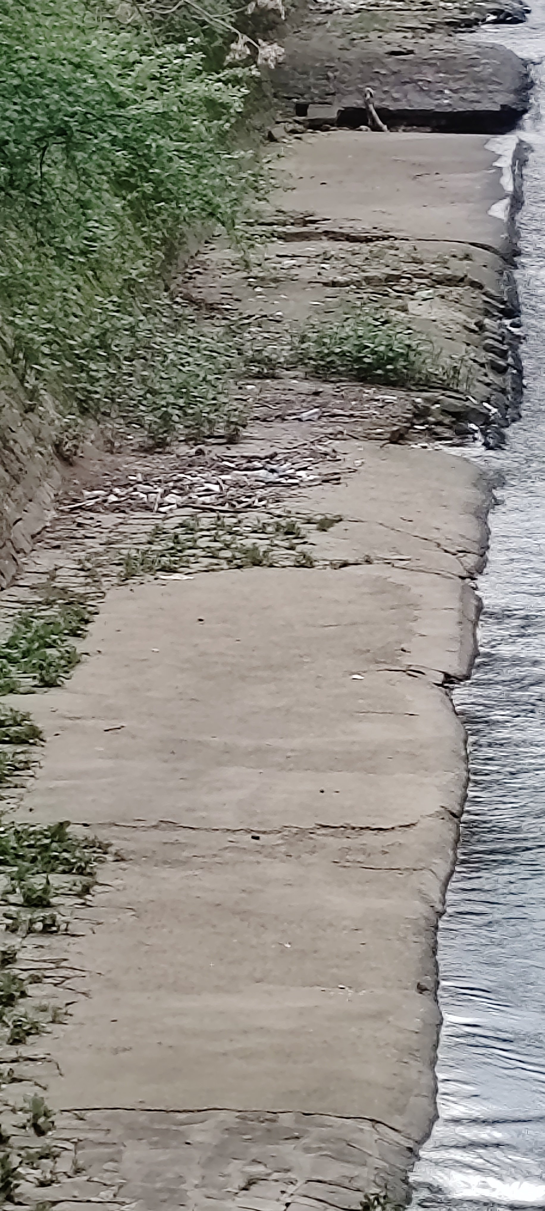 Снимка на незаконно сметище в София-град - 1042, бул. Евлоги и Христо Георгиеви, кв. Лозенец, София, Лозенец, Столична, София-град