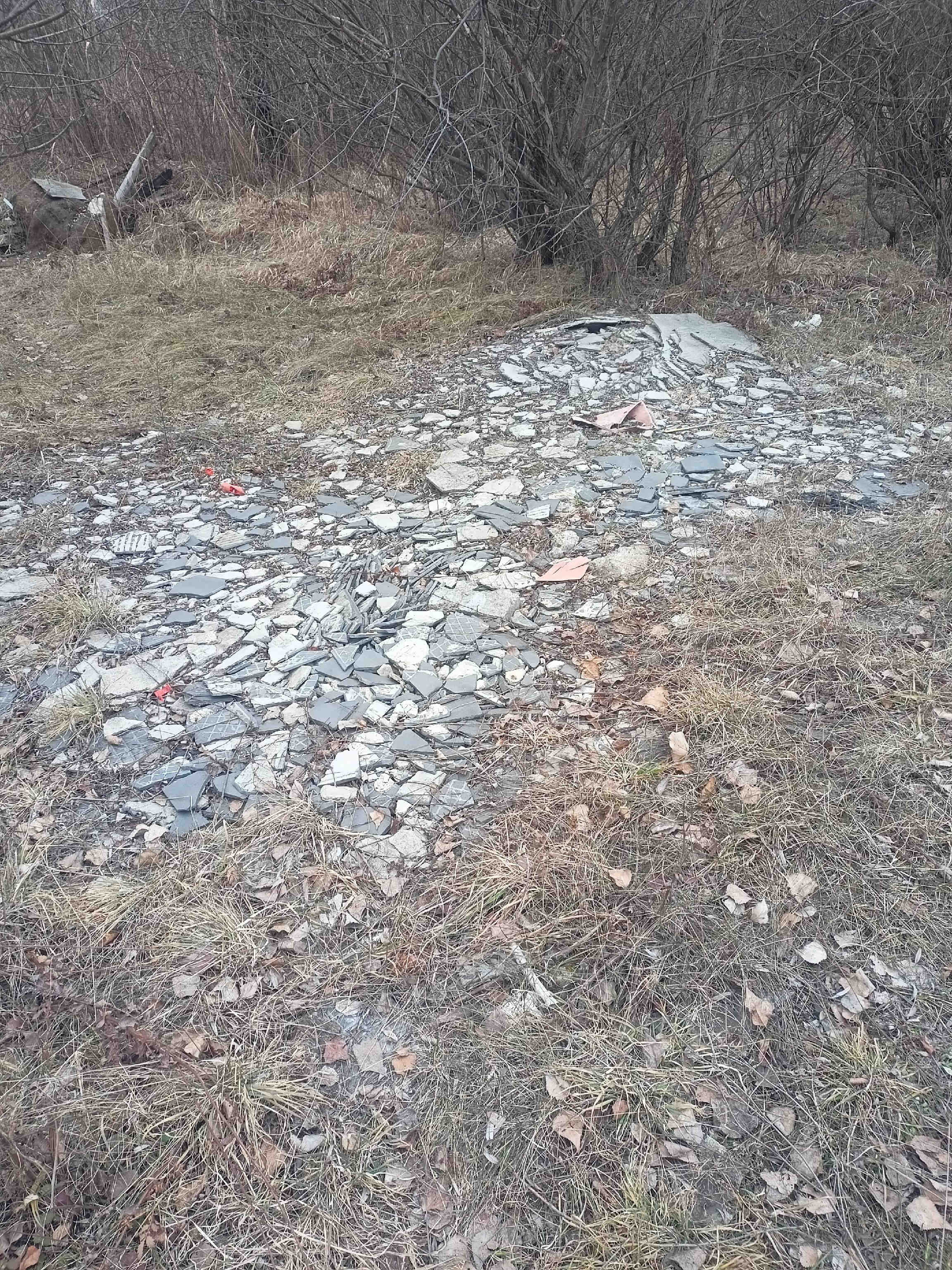 Снимка на незаконно сметище в София-град - 1756, бул. Свети Климент Охридски, кв. Малинова долина, София, Студентски, Столична, София-град