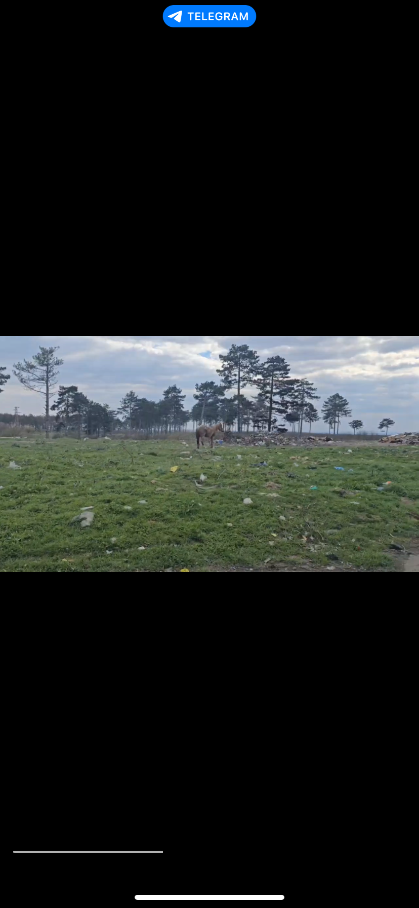 Снимка на незаконно сметище в Варна - 9102, Калина, Новата махала, Каменар, Варна, Варна