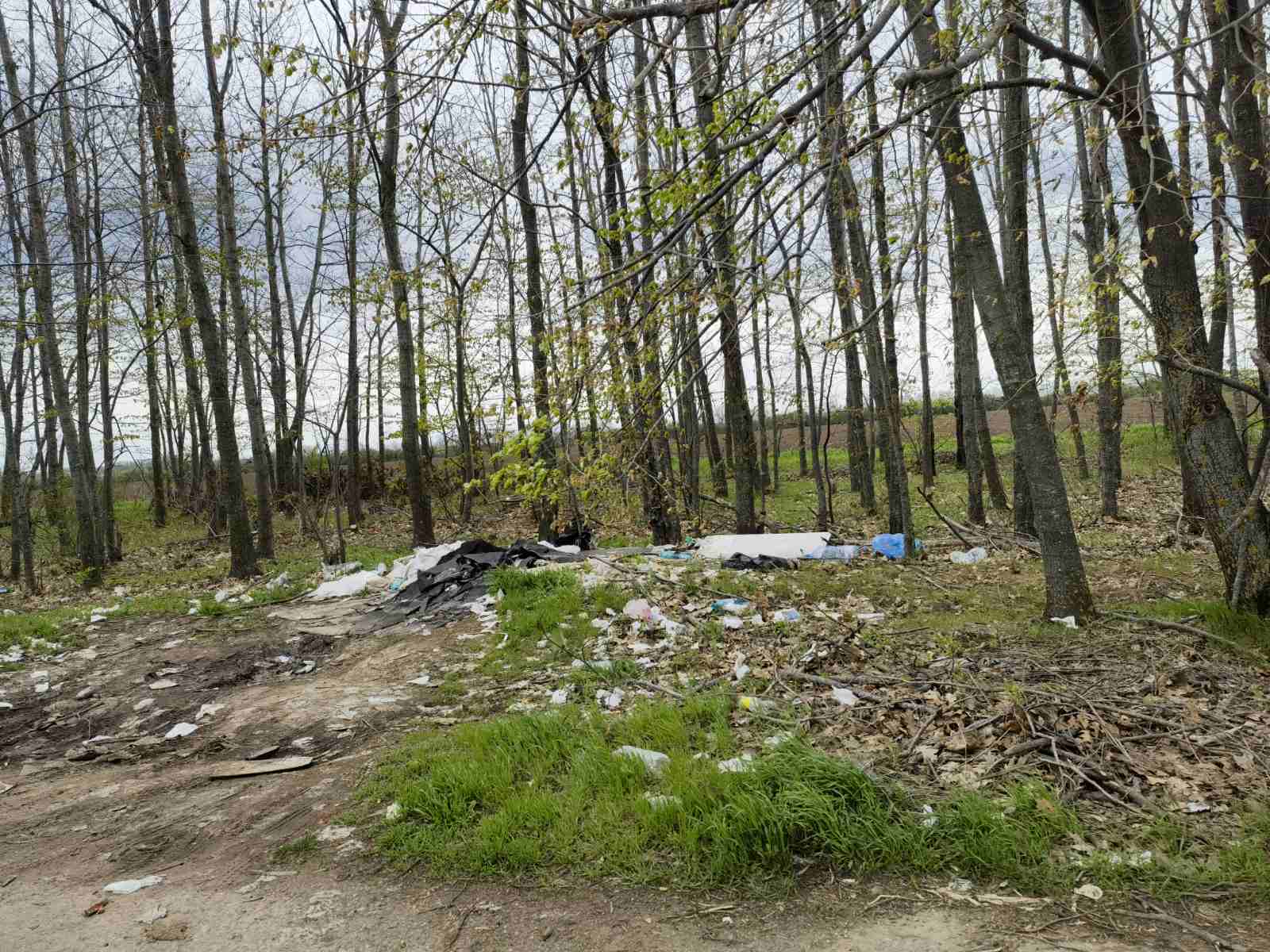 Снимка на незаконно сметище в Добрич - 9304, Околовръстен път, кв. Рилци, Добрич, Добрич, Добрич